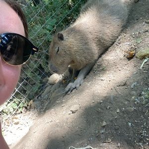 Meet your Posher, Frannie